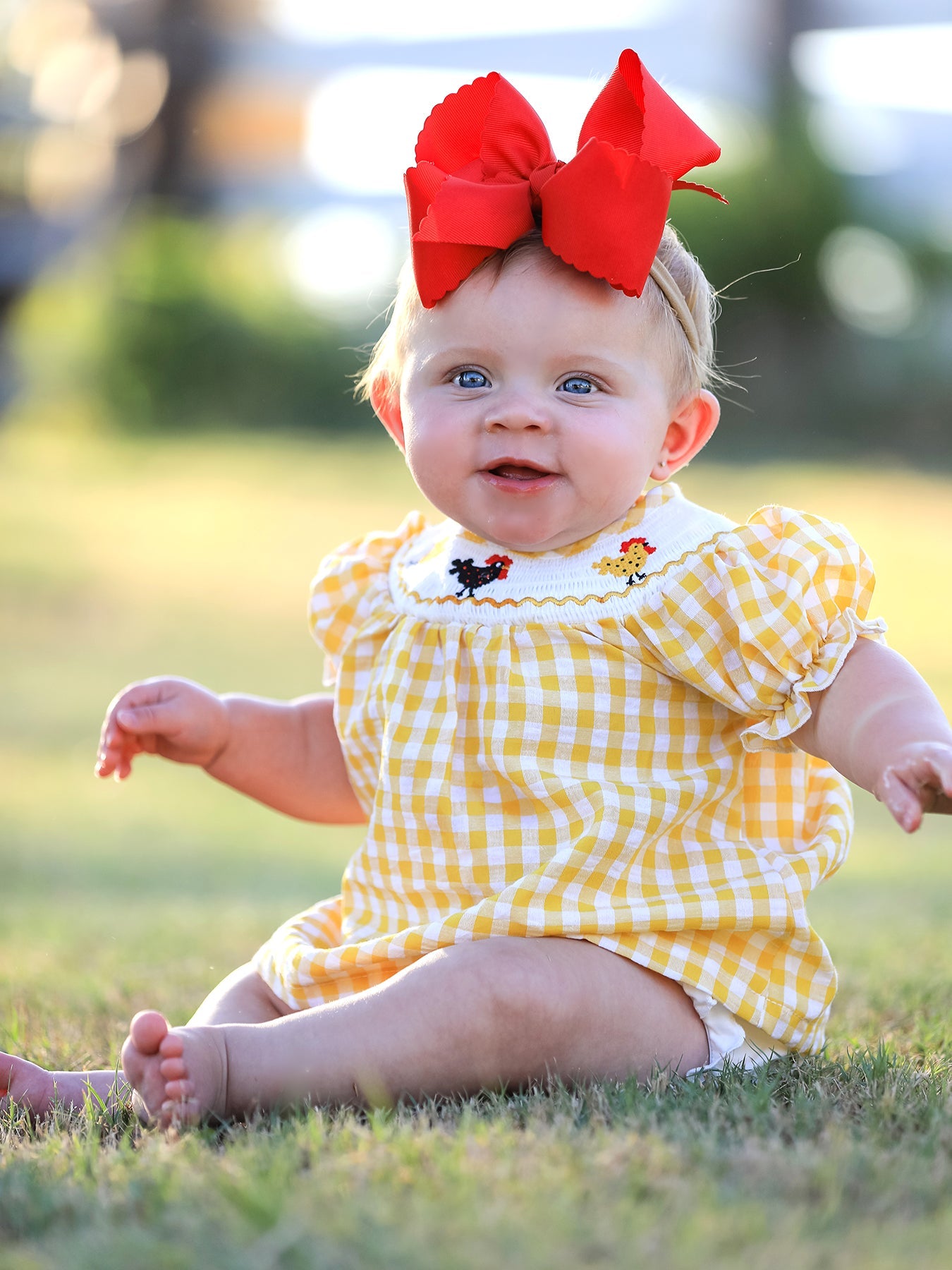 Chicken Smocking Embroidered Girls Outfits
