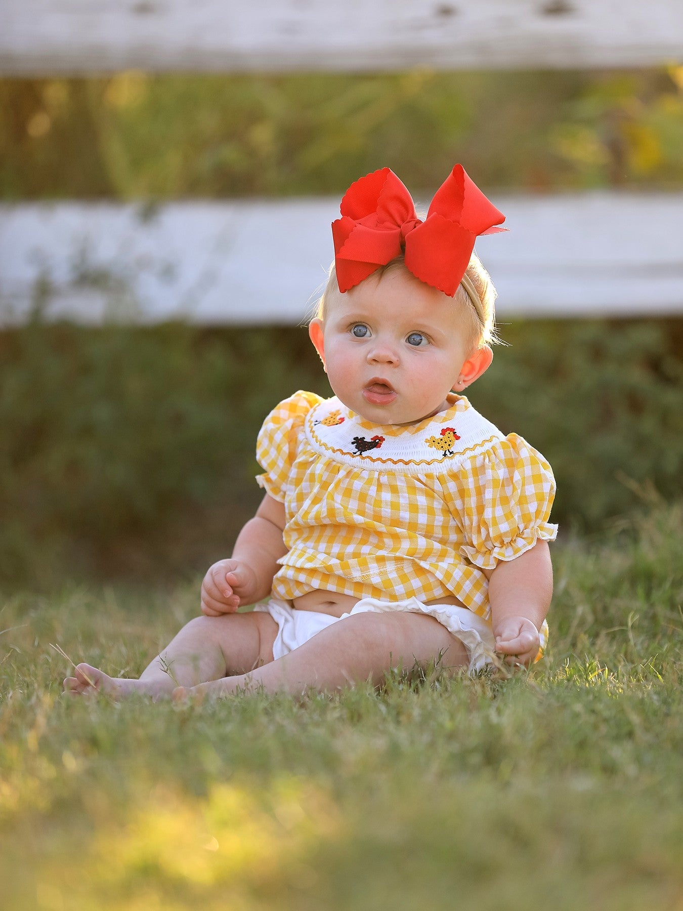 Chicken Smocking Embroidered Girls Outfits